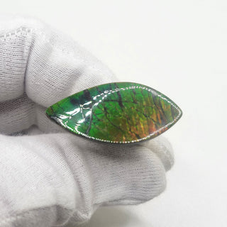 Ammolite Leaf Shaped Freeform Loose Gemstone 4440125 - 0 Degrees