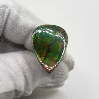 Ammolite Pear Shaped Freeform Loose Gemstone 4460125 - 0 Degrees