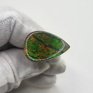 4460125 - Freeform - Pear - (Grade: A / A2)