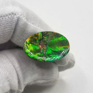 Ammolite Oval Shaped Freeform Loose Gemstone 4480125 - 270 Degrees
