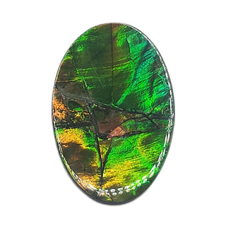 Ammolite Oval Shaped Freeform Loose Gemstone 4480125