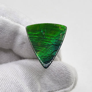 Ammolite Triangle Shaped Freeform Loose Gemstone 4670325 - 0 Degrees
