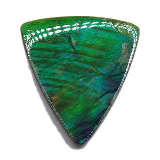 Ammolite Triangle Shaped Freeform Loose Gemstone 4670325
