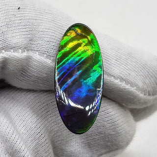 Ammolite Oval Shaped Freeform Loose Gemstone 4690325-0