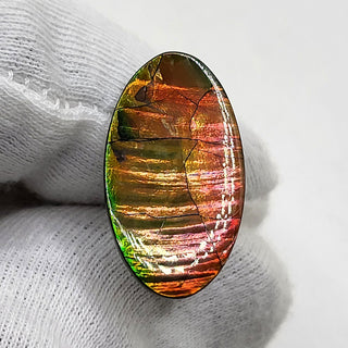 Ammolite Oval Shaped Freeform Loose Gemstone 4700325 - 0 Degrees