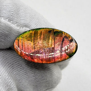 4700325 - Freeform - Oval - (Grade: A+ / A3)