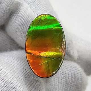 Ammolite Oval Shaped Freeform Loose Gemstone 4710325-0