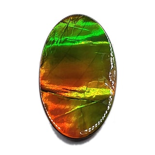 Ammolite Oval Shaped Freeform Loose Gemstone 4710325