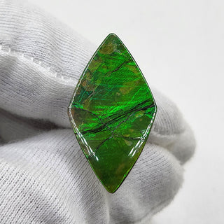 Ammolite Shield Shaped Freeform Loose Gemstone 4720325-0