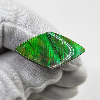 4720325 - Freeform - Sheild (Grade: A / A2)