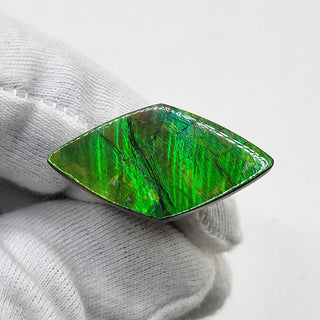 4720325 - Freeform - Sheild (Grade: A / A2)