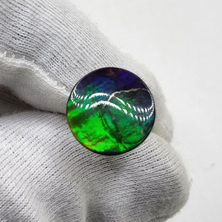 Ammolite Round Shaped Freeform Loose Gemstone 4730325 - 0 Degrees