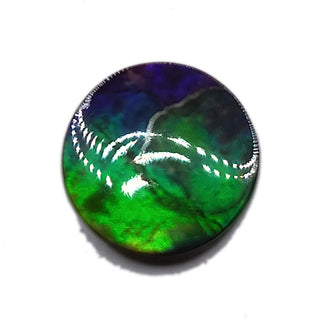 Ammolite Round Shaped Freeform Loose Gemstone 4730325