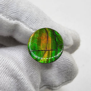Ammolite Round Shaped Freeform Loose Gemstone 4740325 - 0 Degrees