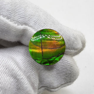 Ammolite Round Shaped Freeform Loose Gemstone 4740325 - 90 Degrees