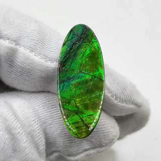 4750325 - Freeform - Oval - (Grade: A- / A1)