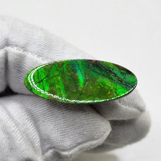 4750325 - Freeform - Oval - (Grade: A- / A1)