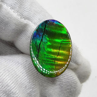 Ammolite Oval Shaped Freeform Loose Gemstone 4770325 - 90 Degrees