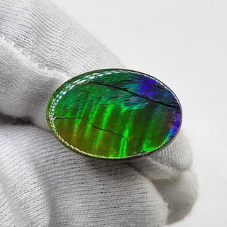 4770325 - Freeform - Oval - (Grade: AA / A4)