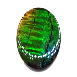 Ammolite Oval Shaped Freeform Loose Gemstone 4770325