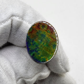 4780325 - Freeform - Oval - (Grade: A+ / A3)