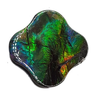 4800325 - Freeform - Irreg (Grade: A- / A1)