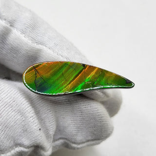 Ammolite Swept Pear Shaped Freeform Loose Gemstone 4810325 - 0 Degrees