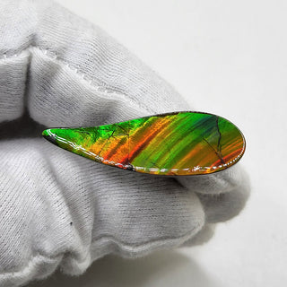 4810325 - Freeform - Sw Pear (Grade: A / A2)