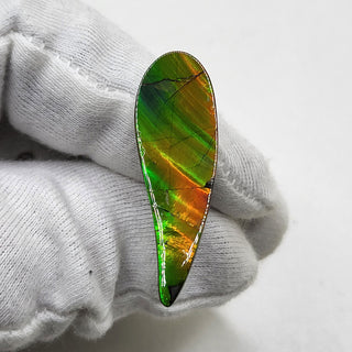 4810325 - Freeform - Sw Pear (Grade: A / A2)