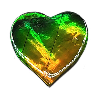 Ammolite Heart Shaped Freeform Loose Gemstone 48220325