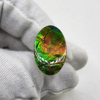 Ammolite Oval Shaped Freeform Loose Gemstone 4830325-0
