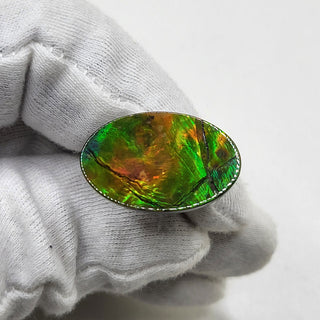 4830325 - Freeform - Oval - (Grade: A / A2)