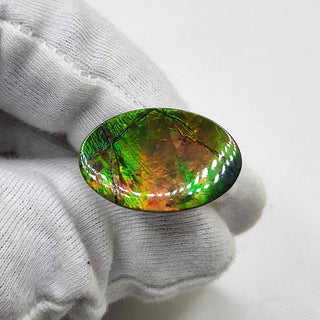 4830325 - Freeform - Oval - (Grade: A / A2)