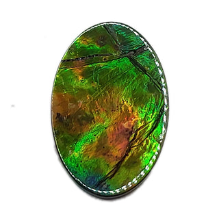 Ammolite Oval Shaped Freeform Loose Gemstone 4830325