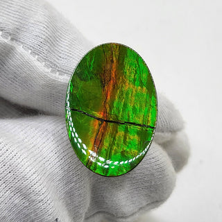 Ammolite Oval Shaped Freeform Loose Gemstone 4850325 - 0 Degrees