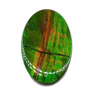 Ammolite Oval Shaped Freeform Loose Gemstone 4850325