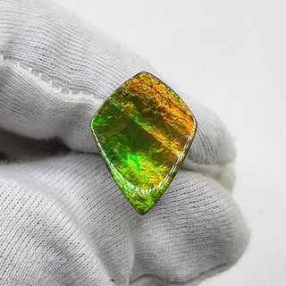 Ammolite Shield Shaped Freeform Loose Gemstone 4880325 - 0 Degrees