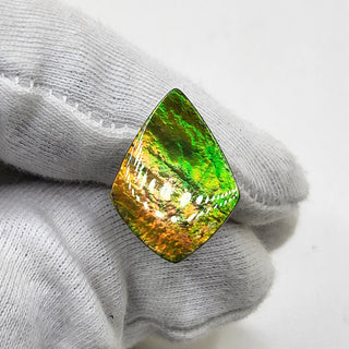 4880325 - Freeform - Shield (Grade: A+ / A3)