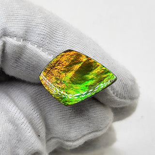 4880325 - Freeform - Shield (Grade: A+ / A3)