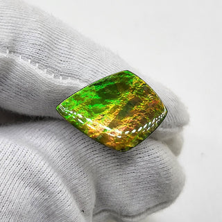 4880325 - Freeform - Shield (Grade: A+ / A3)