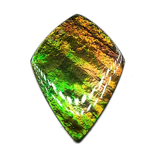Ammolite Shield Shaped Freeform Loose Gemstone 4880325