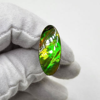 4920325 - Freeform - Oval - (Grade: A / A2)