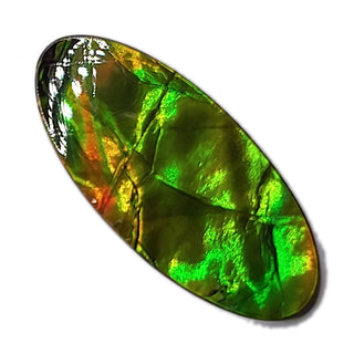 4920325 - Freeform - Oval - (Grade: A / A2)