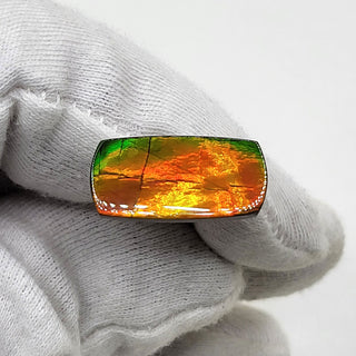 4940325 - Freeform - Rectangle (Grade: A+ / A3)