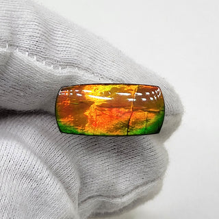 4940325 - Freeform - Rectangle (Grade: A+ / A3)