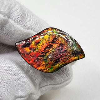 4990325 - Freeform - Sw Leaf (Grade: A+ / A3)