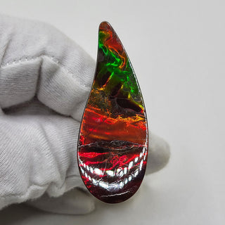 5040325 - Freeform - Sw Pear (Grade: A / A2)