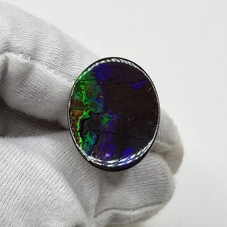 Ammolite Oval Shaped Freeform Loose Gemstone 5080325 - 0 Degrees