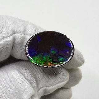 5080325 - Freeform - Oval - (Grade: A / A2)