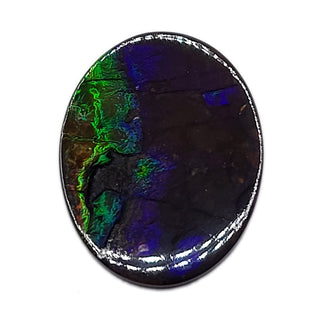 Ammolite Oval Shaped Freeform Loose Gemstone 5080325